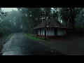 7 Hours Relaxing Rain Walk in Kerala | Gentle Rain ASMR Sounds for Sleep, Meditation & Study