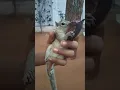 you