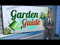Garden Guide Q A Featuring Alex Calamia Figs