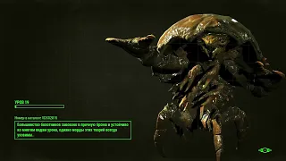Fallout 4 AAF 01