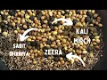Perfect Masala & Garnish Recipes | Full Preparation Video