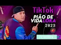 Download Lagu JAPÃOZINHO ATUALIZADO 2023 COMPLETO