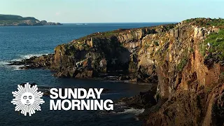 Nature: Newfoundland