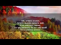 Я така крилата, бо росла в Карпатах [Українська музика] [Українські пісні]