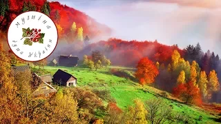 Я така крилата бо росла в Карпатах Українська музика Українські пісні 