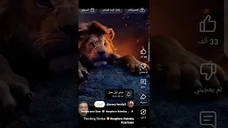 سيمبا اخذ نظره حسان بس ابوه ميت اسد 