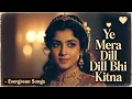 Lagu Mera Dil Bhi Kitna Pagal Hai  | Mera Dil Bhi Kitna Bhola Hai | Saajan | Old Is Gold Evergreen Song