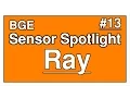 BGE Sensor Spotlight Ray Sensor