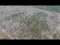 Lincoln County 80 acre