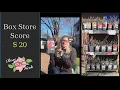 Box Store Score Buying Bare Root Roses from Lowes Bloomables