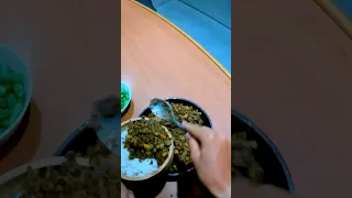 Poke bowls onboard in the middle of Indo? Yes please 😋 #sailingfamily #boatlife