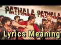 VIKRAM - Pathala Pathala Song Explained in Tamil