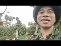 Download Lagu Năm 2025: 60 - 70 k/1kg quả Vải, theo dự đoán của các kênh Youtube hót nhất?! Nhưng nó lạ lắm!!!