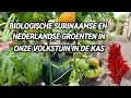Download Lagu SURINAAMSE EN NEDERLANDSE GROETEN IN ONZE VOLKSTUIN IN DE KAS | BIOLOGISCHE