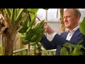 Download Lagu Trailer - Boekensalon met Martin Bossenbroek : De wraak van Diponegoro