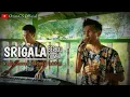 Download Lagu Srigala berbulu domba (cover) dangdut koplo ozim cs voc.davi