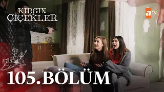 Kırgın Çiçekler 105 Bölüm Atvturkiye 