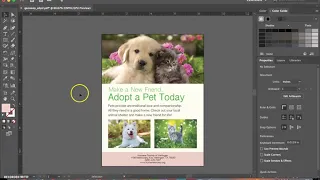 Pet Adoption Flyer Design