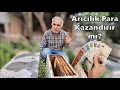 Arıcılık Para Kazandırır mı ? Merdan Usta Anlatıyor