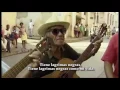 Lagrimas Negras • Cuba Feliz - Con Letra