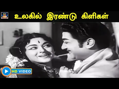 Irandu Kiligal Sernthu - YouTube