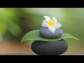 Meditation Relax Music 放鬆冥想音樂 spa音樂 舒緩按摩音樂 深度睡眠音樂 禪修音樂 瑜珈音樂 水聲 鳥鳴 大自然音樂 水療 鋼琴 輕音樂 增加正能量 消除負能量 多巴胺 #1
