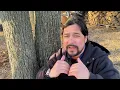 Codominant Stems in Trees and Structural Pruning