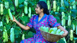 Farm Fresh Cucumbers ! 🥒 Creamy Salad, Cool Drinks & Detox Water For Healthy Skin!
