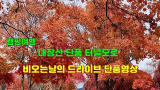 내장산 단풍 터널도로 비오는날의 드라이브 단풍영상 썸네일