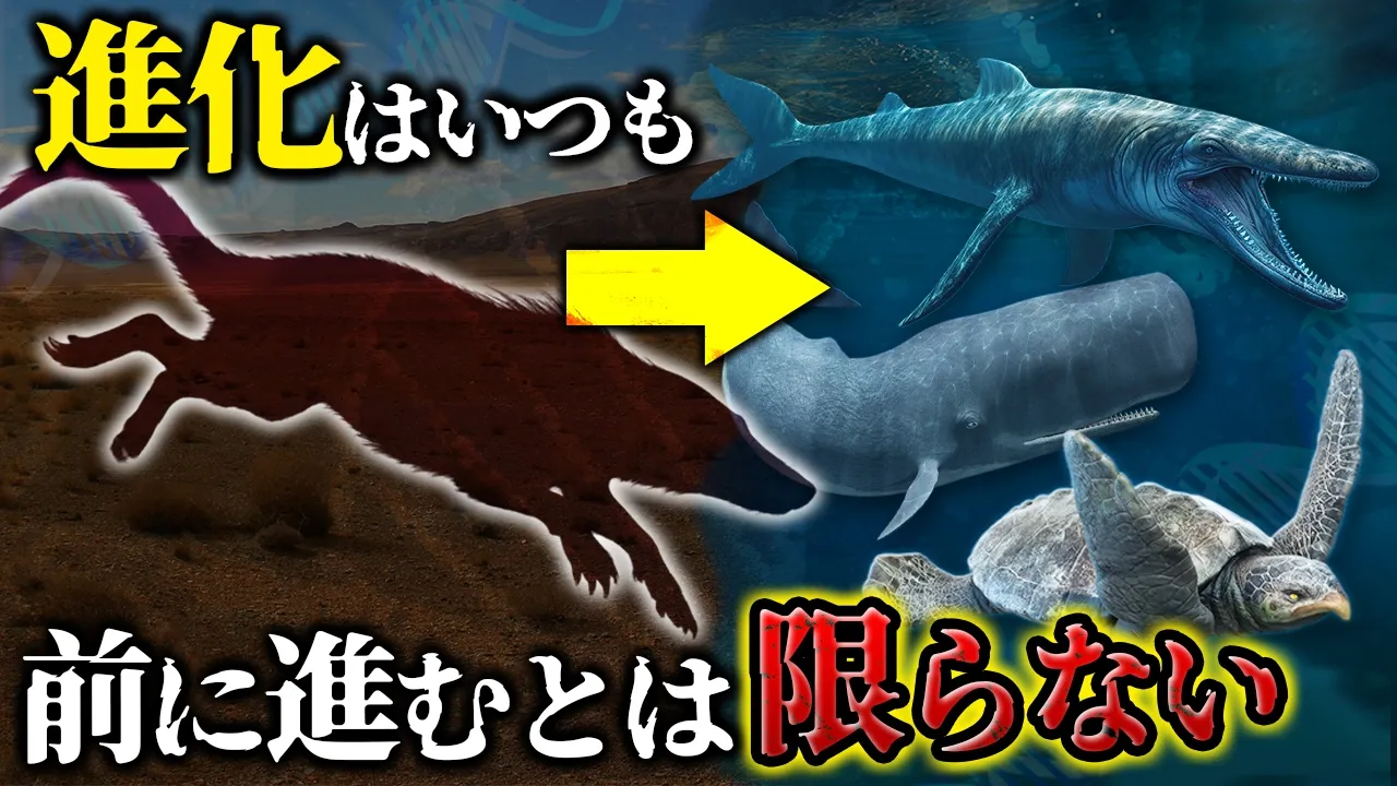 【ゆっくり解説】進化の逆戻り!?陸から海に帰ったヤツらの進化