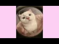 สาบานได้เลย -ฮันเตอร์ [1 hours ]