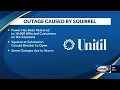 Squirrel causes about 18 000 Unitil customers on the Seacoast to lose power