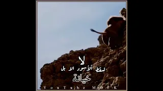 الاسود لا تسقط بل خيانة دندنها