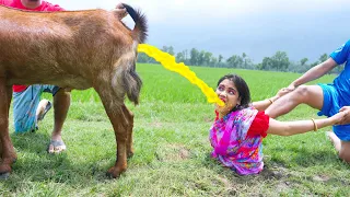 Horror & Bhoot Special Trending Comedy Video 😂Amazing Comedy Video 2026 Episode  403 Busy Fun Ltd