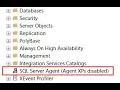 Agent XPs component is turned off