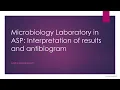 Microbiology laboratory in AMS programs Interpretation of results and antibiogram