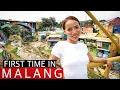 Download Lagu First Impression of Malang - Now my NEW Favorite City in Indonesia?