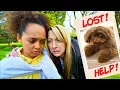 Download Lagu TIANA'S PUPPY RAN AWAY!!