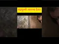 Download Lagu Mahakali Mandir Chandrapur।Chandrapur chi mahakali।Chandrapur Ram Navami।#chandrapur#ram#mahakali