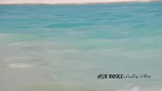 حالات واتس اب انا عاوز سافر ودوني البحر   مهرجان ابلبط   احمد حلمي دندنها