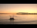 Feathered Sun, Acid Pauli, Jo.ke, Matanza - How Strange