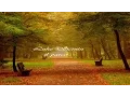 Download Lagu Luke Scintu -  Il Parco (Full Album)