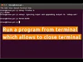 Running programs in the background from terminal Allows to close Terminal