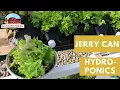 Download Lagu Jerry Can Hydroponics - The Joy of Harvest