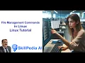 File Management Commands in Linux Linux Tutorial Linux Basics