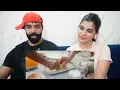 Raat Bhar – De De Pyaar De 2 Reaction | Ajay, Rakul, Meezaan | Payal D, Aditya D, Aditya R, Kumaar