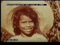 Agriculture In Brazil's Highlands, 1950s - Film 3484