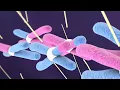 Cell Division Meiosis vs Mitosis
