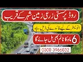 روڈ پرسستی زمین Land for sale | cheapland for sale in Pakistan 03003966032| Agricultureland for sale