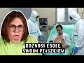 Download Lagu SZPITAL - ROZSIEWAM EBOLĘ PRZEZ MORENKĘ